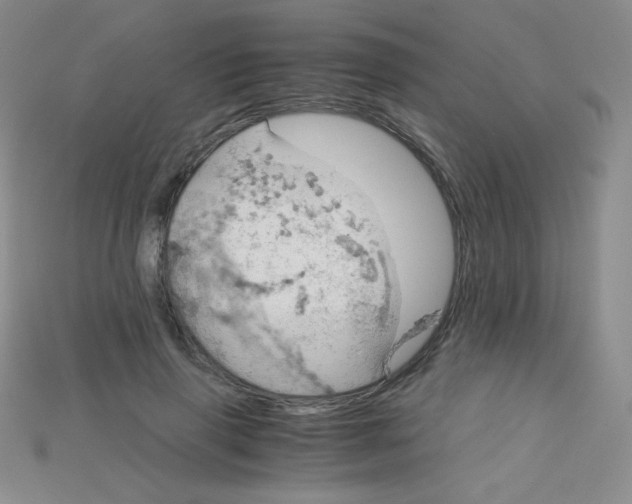 X0000115210645200911121905