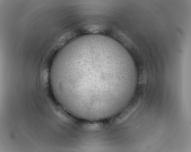 X0000115210646200911121905