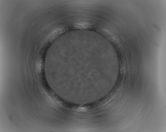 X0000115210647200911121905