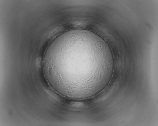 X0000115210649200911121905
