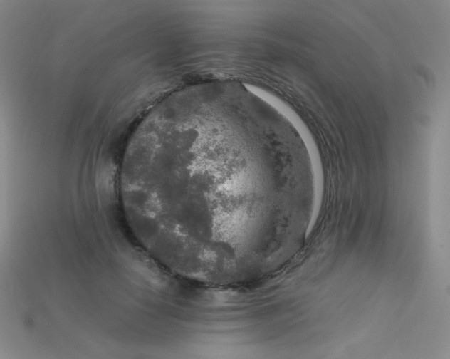X0000115210650200911121905