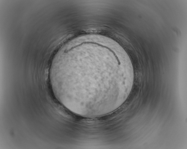 X0000115210652200911121905