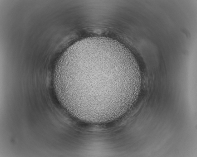 X0000115210656200911121905
