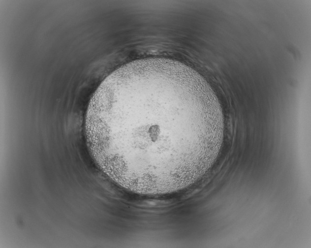 X0000115210657200911121905