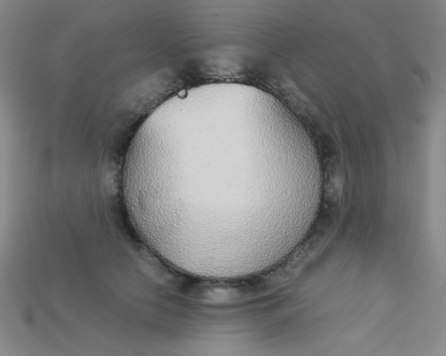 X0000115210658200911121905