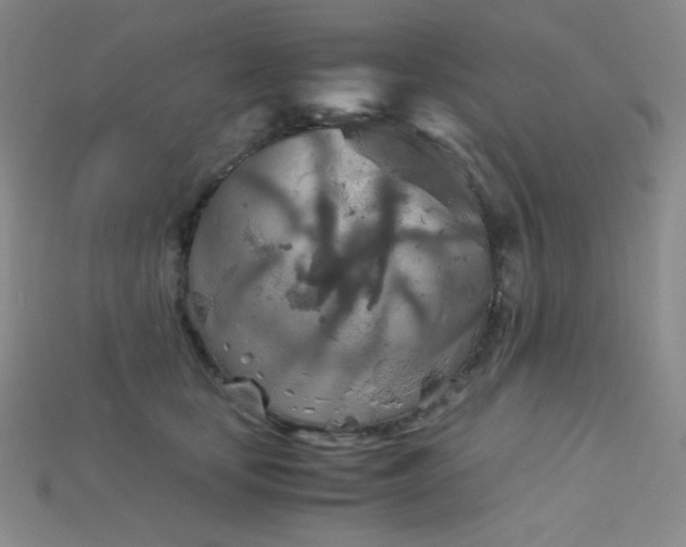 X0000115210659200911121905