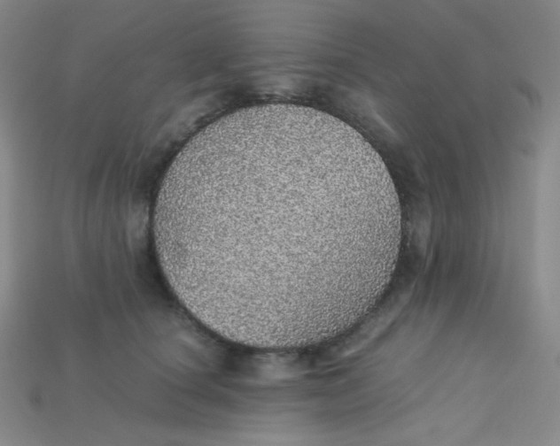 X0000115210660200911121905