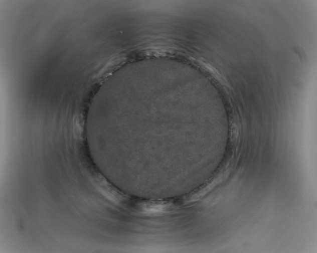 X0000115210661200911121905