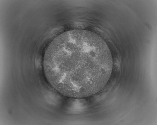 X0000115210663200911121905