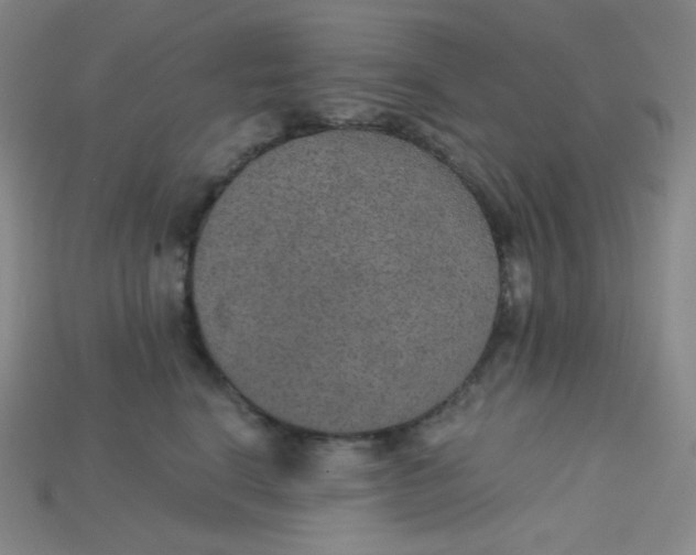 X0000115210664200911121905
