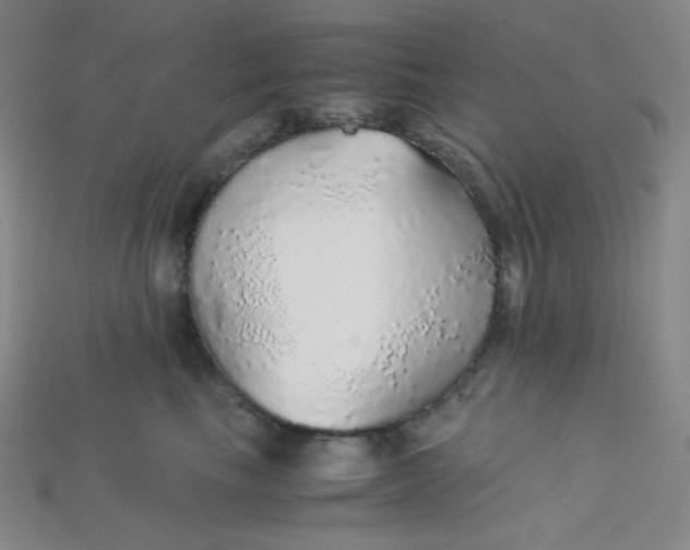 X0000115210665200911121905