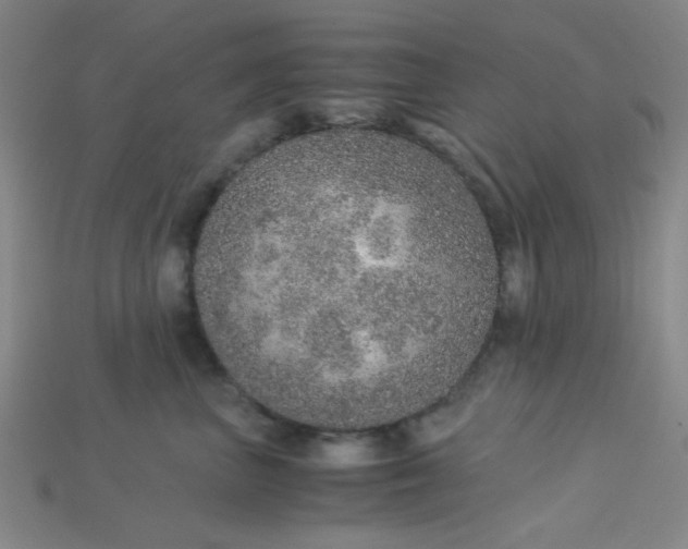 X0000115210667200911121905