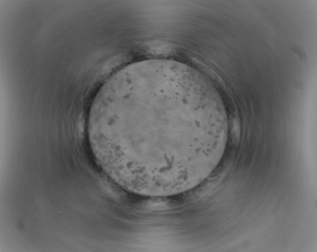 X0000115210668200911121905