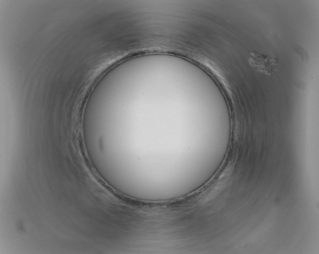 X0000115210673200911121905