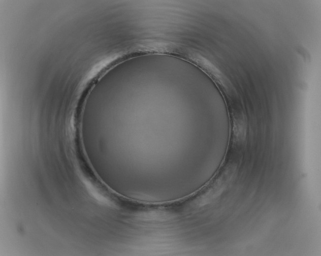 X0000115210674200911121905