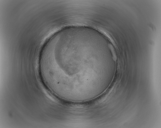 X0000115210677200911121905