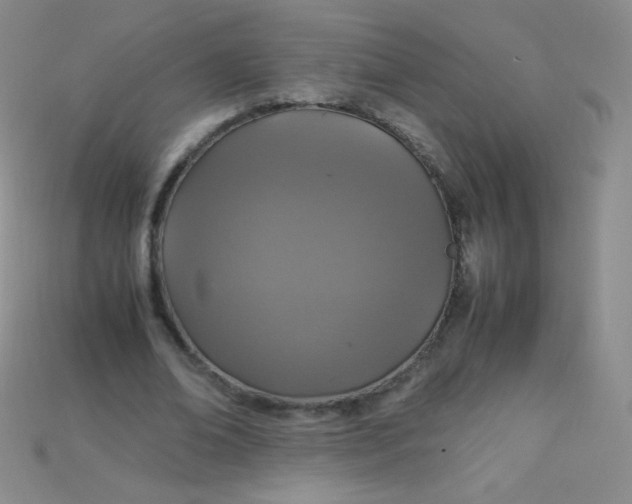 X0000115210678200911121905