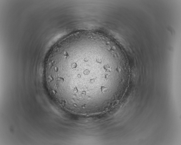 X0000115210679200911121905