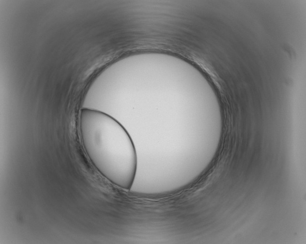 X0000115210681200911121905