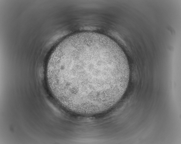 X0000115210683200911121905