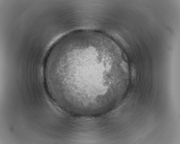 X0000115210684200911121905