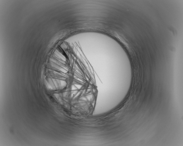 X0000115210685200911121905