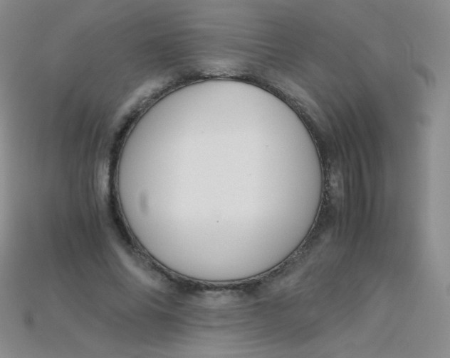 X0000115210686200911121905