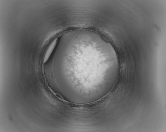 X0000115210688200911121905