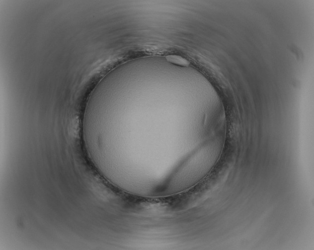 X0000115210689200911121905