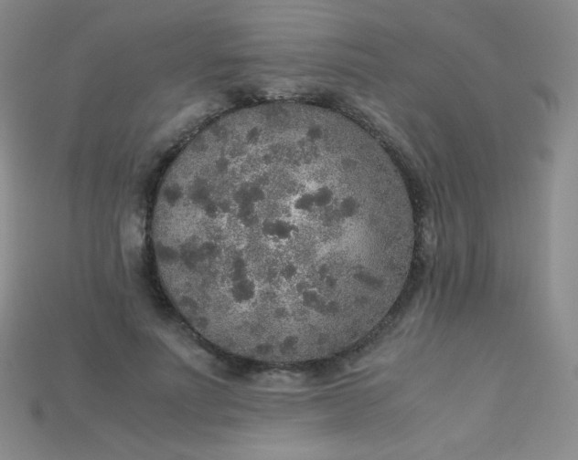 X0000115210691200911121905