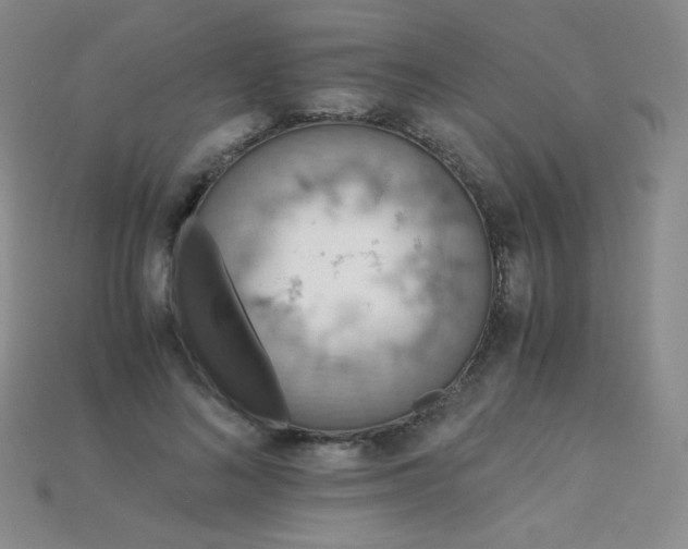 X0000115210692200911121905