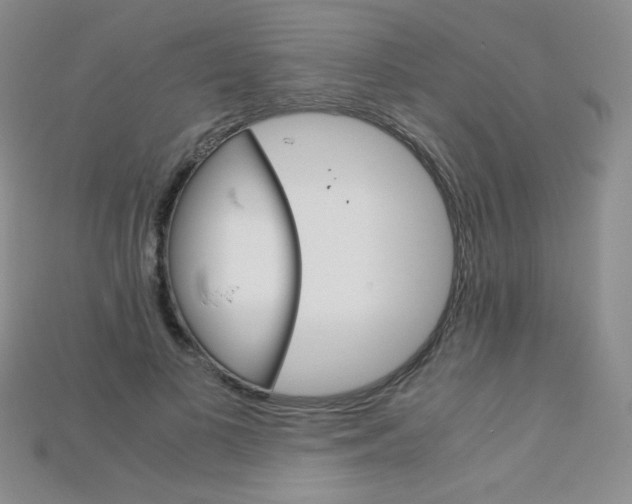 X0000115210693200911121905