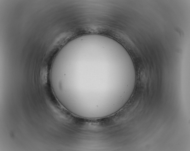 X0000115210694200911121905