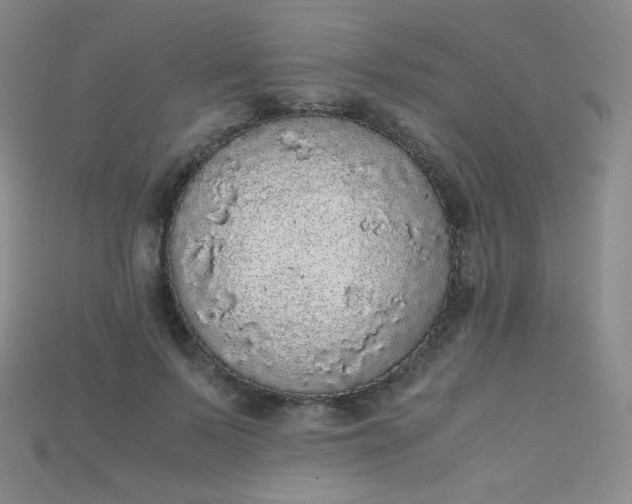 X0000115210695200911121905