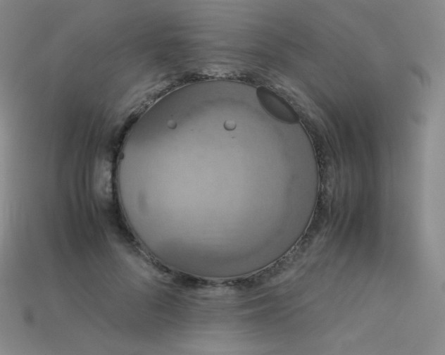 X0000115210696200911121905