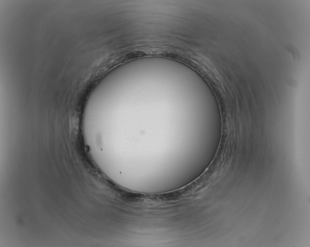 X0000115210697200911121904