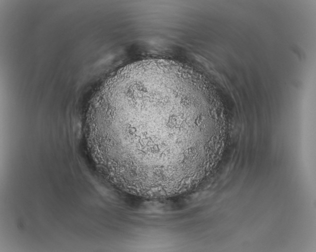 X0000115210703200911121904