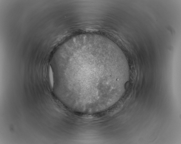 X0000115210704200911121904