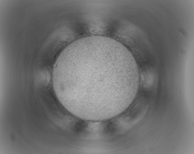 X0000115210705200911121904