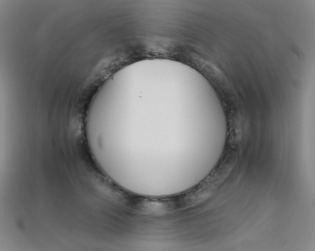 X0000115210706200911121904
