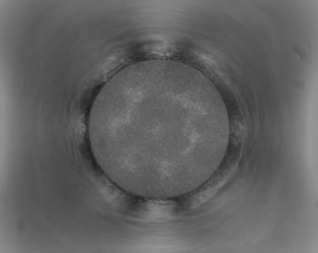 X0000115210707200911121904