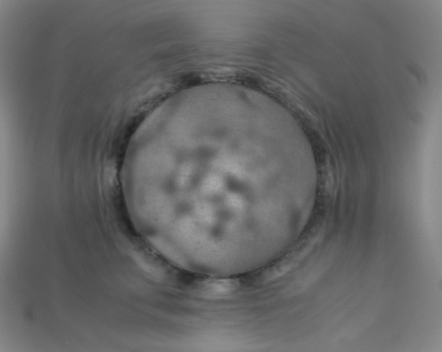 X0000115210711200911121904