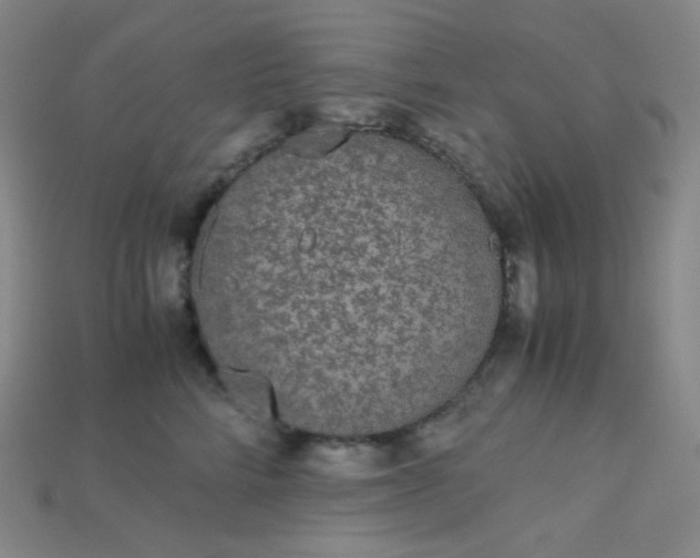 X0000115210712200911121904