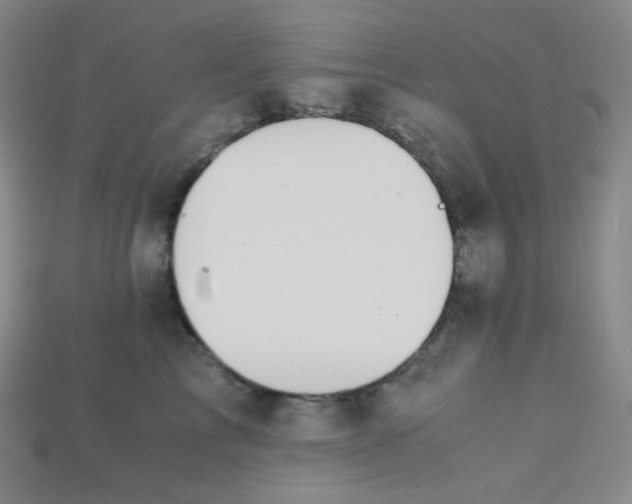X0000115210713200911121904