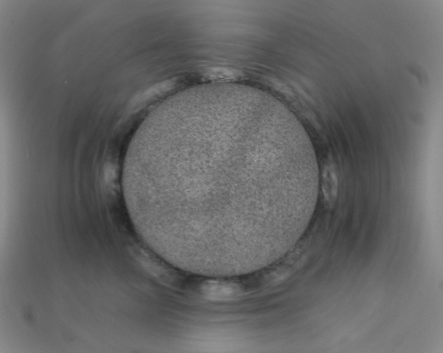 X0000115210714200911121904
