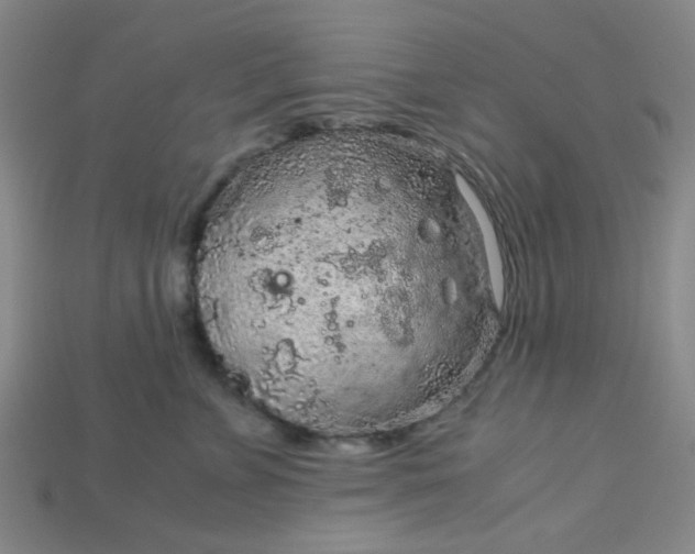 X0000115210715200911121904