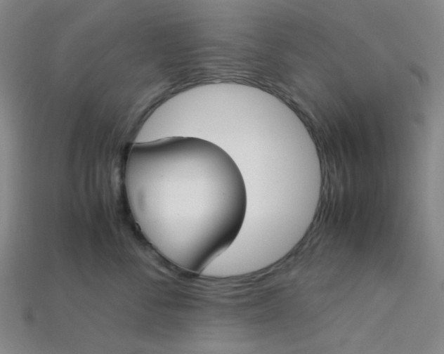 X0000115210716200911121904