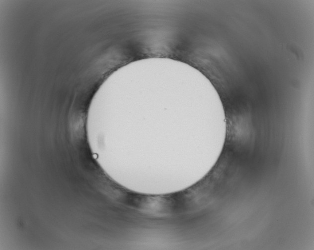 X0000115210717200911121904