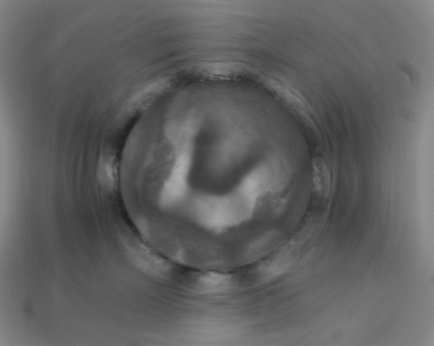 X0000115210718200911121904