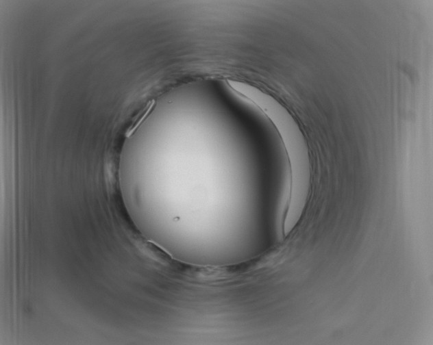 X0000115210720200911121904
